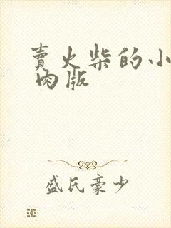 卖火柴的小男孩 肉版