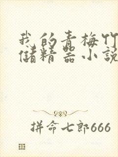 我的青梅竹马是储精器小说