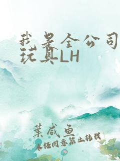 我是全公司发泄玩具LH