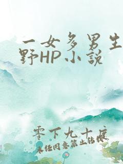 一女多男生活狂野HP小说