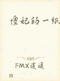 傻妃的一纸休书