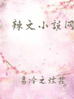 辣文小说网