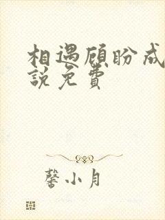 相遇顾盼成欢小说免费