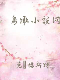鸟瞰小说网