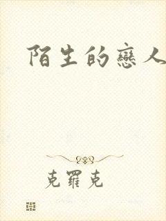 陌生的恋人小说