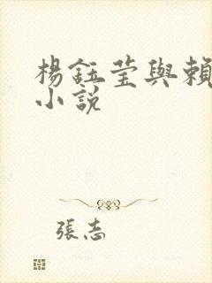 杨钰莹与赖昌星小说