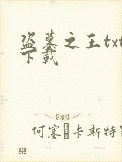 盗墓之王txt下载