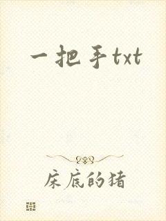 一把手txt