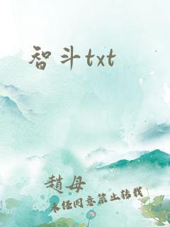 智斗txt