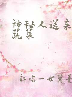 神秘人送来千斤蔬菜