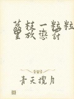 荔枝一粒粒的往里放惩罚