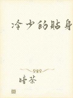 冷少的贴身女人