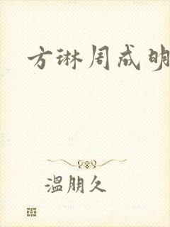 方琳周成明小说