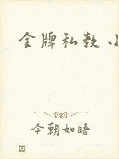 金牌私教 小说