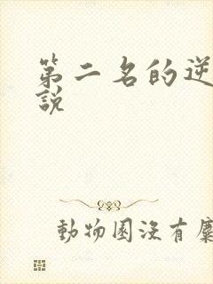第二名的逆袭小说
