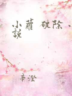 小萝 破除 小说