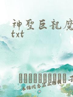 神圣巨龙魔法师txt