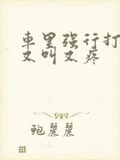 车里强行打扑克又叫又疼