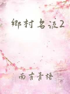 乡村名流2