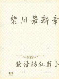 紫川最新章节