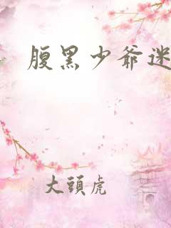 腹黑少爷迷糊妻