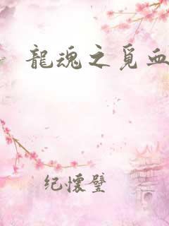 龙魂之觅血心缘