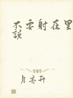 不要射在里面小说