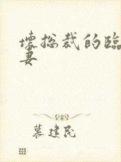 坏总裁的临时娇妻