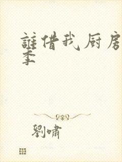 谁借我厨房第三季