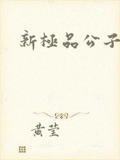 新极品公子