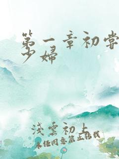 第一章初尝云雨少妇