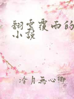 翻云覆雨的秘密小说