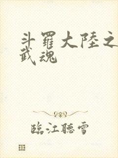 斗罗大陆之三生武魂