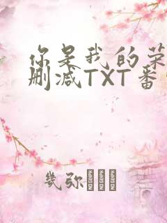 你是我的荣耀未删减TXT番外