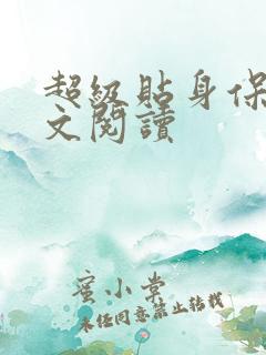 超级贴身保镖全文阅读