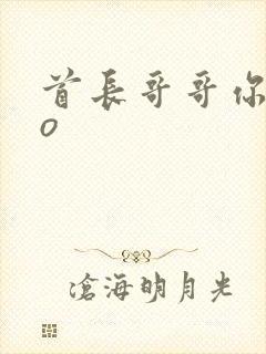 首长哥哥你好po