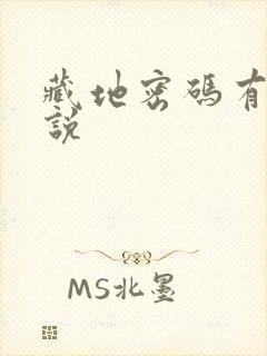 藏地密码有声小说