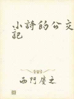 小诗的公交车日记