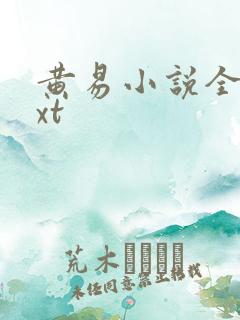 黄易小说全集txt