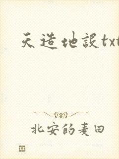 天造地设txt