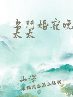 名门婚宠晚安赫太太