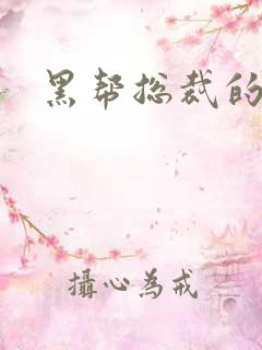 黑帮总裁的宠妻