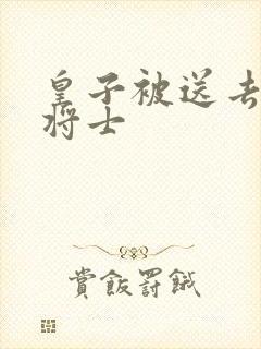 皇子被送去犒劳将士