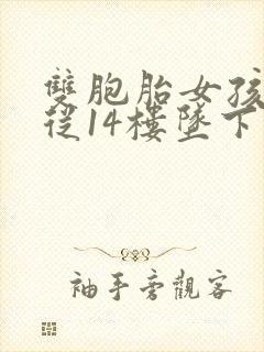 双胞胎女孩双双从14楼坠下