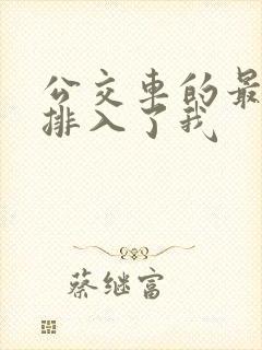 公交车的最后一排入了我