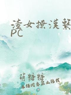 渣女撩汉系统NPC