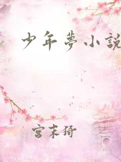 少年梦小说