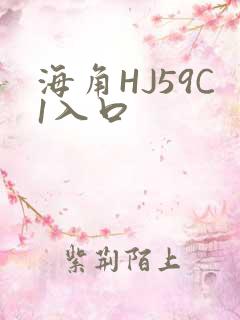 海角HJ59C1入口