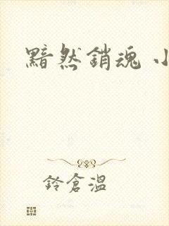 黯然销魂 小说