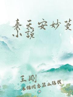 秦天安妙菱修仙小说